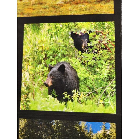 Natures Wonder Scenic Wildlife Fabric Panel 24"x44" By Studio RK For Robert Kauf - Picture 4 of 14